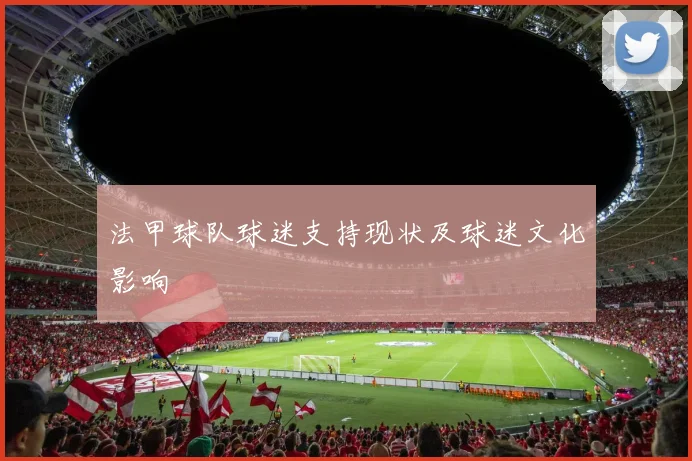 法甲球队球迷支持现状及球迷文化影响