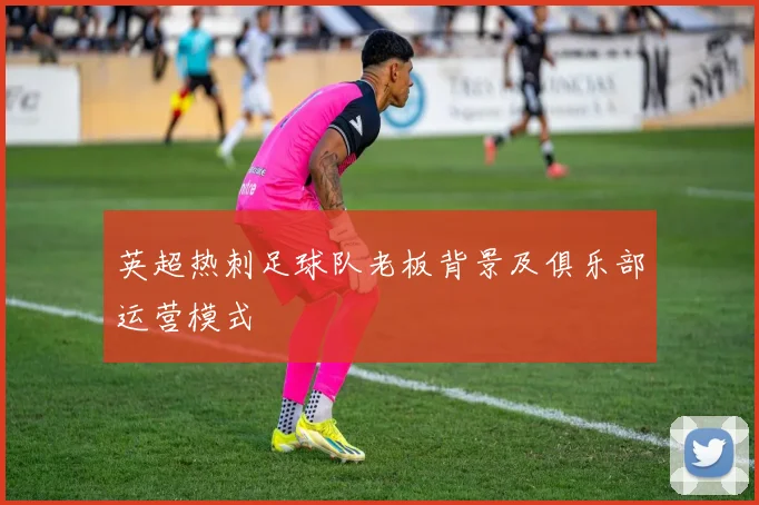 英超热刺足球队老板背景及俱乐部运营模式