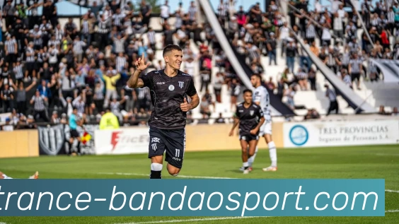 半岛体育APP 封面图